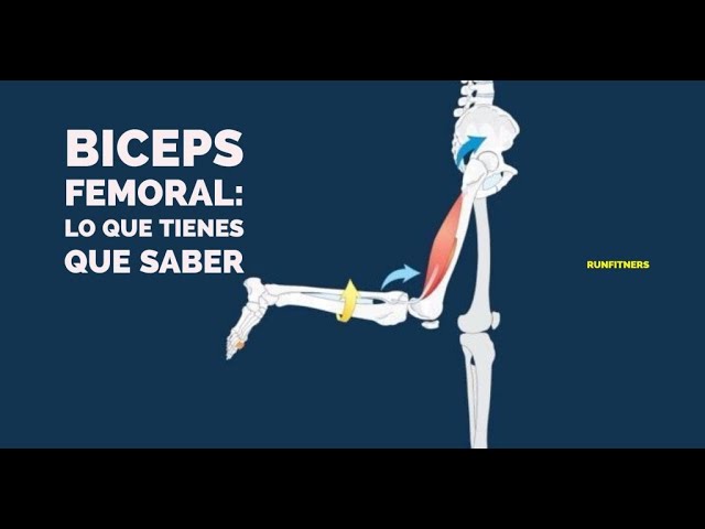 5 ejercicios efectivos para tratar la tendinitis del bíceps femoral