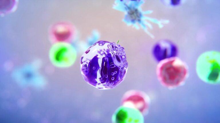 Descubre el papel vital de la célula leucocito en tu sistema inmunológico