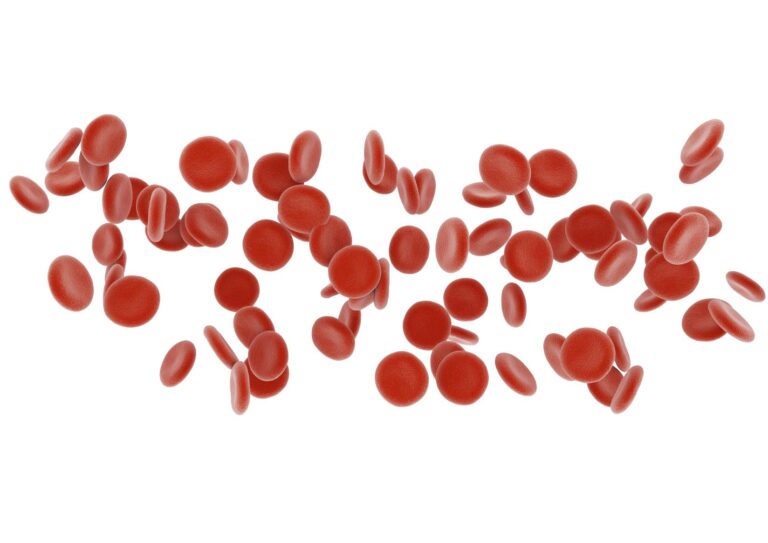 Descubre la importancia de los glóbulos rojos en tu cuerpo