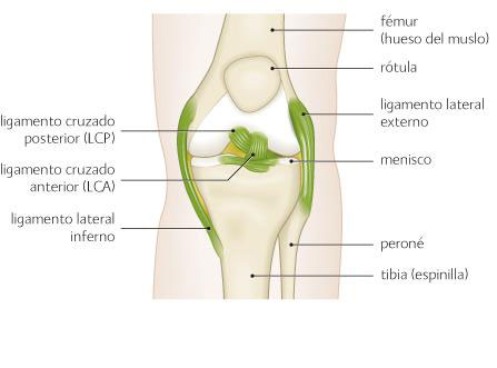 Descubre los patrones del dolor de rodilla y las lesiones frecuentes: Guía completa