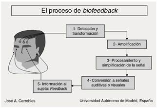 Descubre los tipos y fases del biofeedback: Guía completa