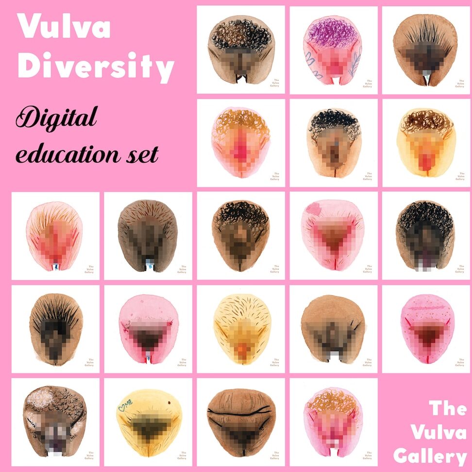 Diferentes tipos de vulva: Descubre sus formas, tamaños, colores y más