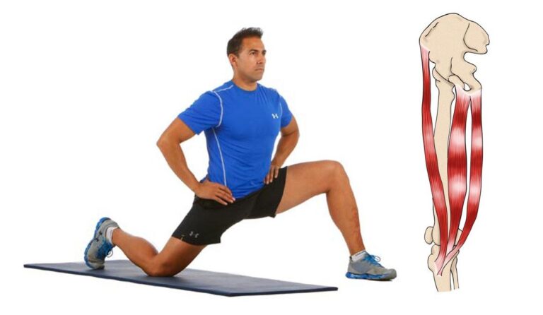 Fortalece tus piernas con el músculo sartorio: Ejercicios efectivos.