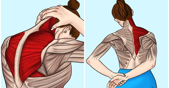 Libera la tensión: estiramientos para la zona posterior del hombro después del deporte