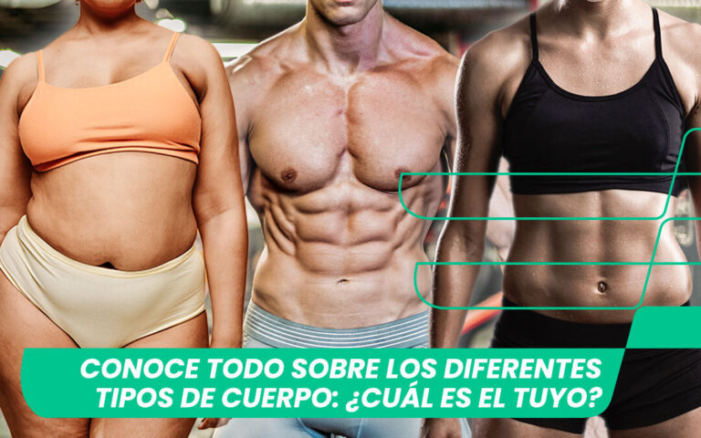 Tipos de cintura: Descubre cómo entrenar la tuya