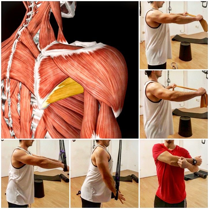 Tonifica tus músculos con los ejercicios del redondo mayor y menor