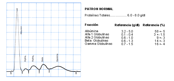Valores normales de la beta globulina en la electroforesis de proteínas en suero